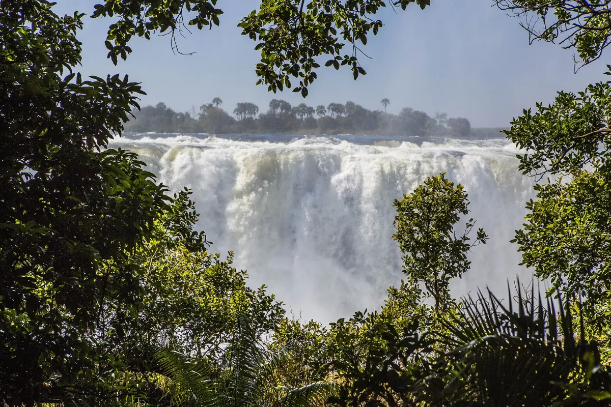 The falls seen through the rainforest on the Zimbabwe side