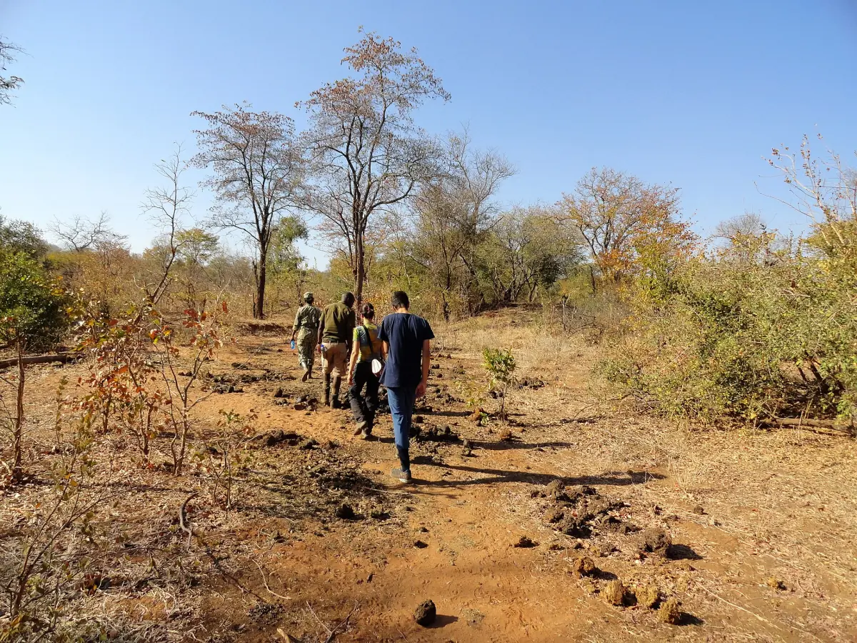 A guided walk in Mosi-oa-Tunya National Park